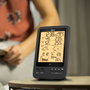 Alecto WS-4700 Station météo professionnelle avec capteur sans fil