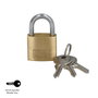 WOLFPACK LINEA PROFESIONAL Cadenas en laiton 30 mm clés identiques №1