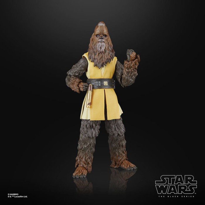 Star Wars: The Acolyte Black Series figurine Jedi Master Kelnacca 15 cm