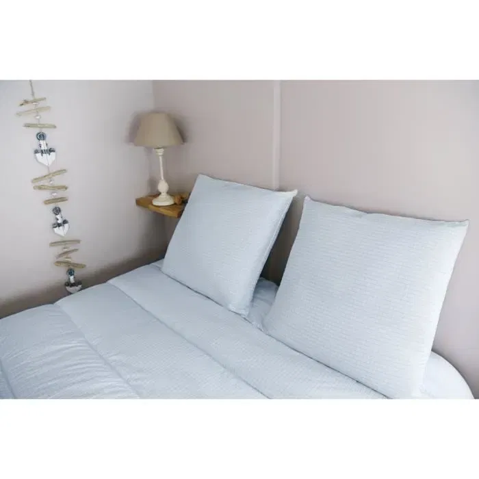 Dodo Oreiller Blanc 60x60 cm, 550 g - Protection Anti-Acariens, Anti-Punaises de Lit, Anti-Moustiques - Enveloppe et Garnissage Polyester - Fabriqué en France