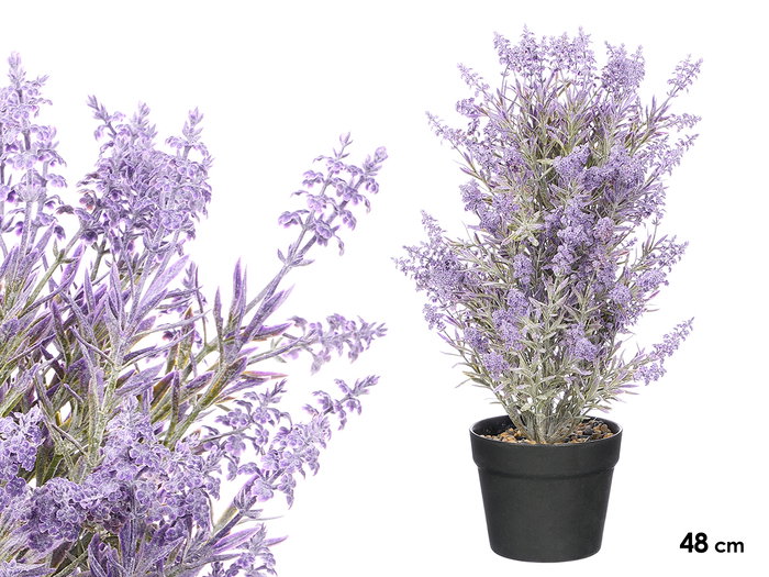 Ibergarden Pot Plante Lavande Pierre 48 cm Violet Noir Vert Plastique Pierre (Set de 6) Ibergarden Pot Plante Lavande Pierre 48 cm Violet Noir Vert Plastique Pierre (Set de 6)
