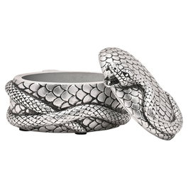 WIDDOP & CO - Coffret à bijoux Harry Potter Nagini - Boîte de collection en résine brillante - Objet de décoration et rangement