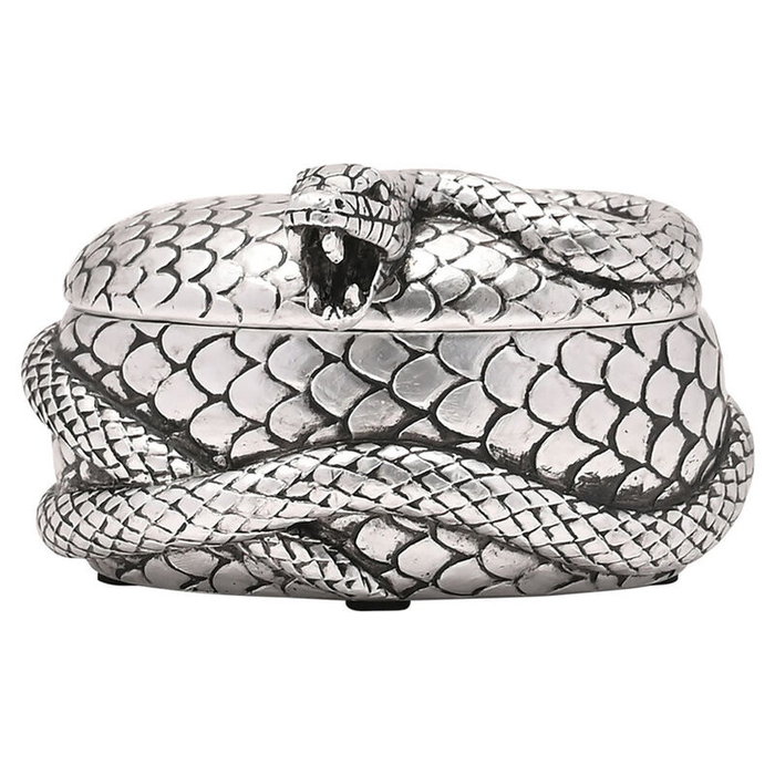 WIDDOP & CO - Coffret à bijoux Harry Potter Nagini - Boîte de collection en résine brillante - Objet de décoration et rangement