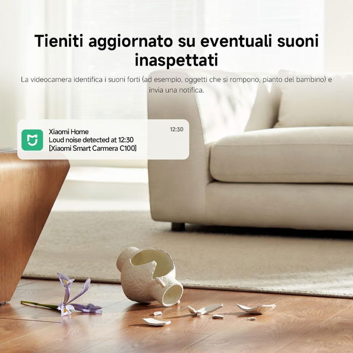 Camescope de surveillance Xiaomi C100