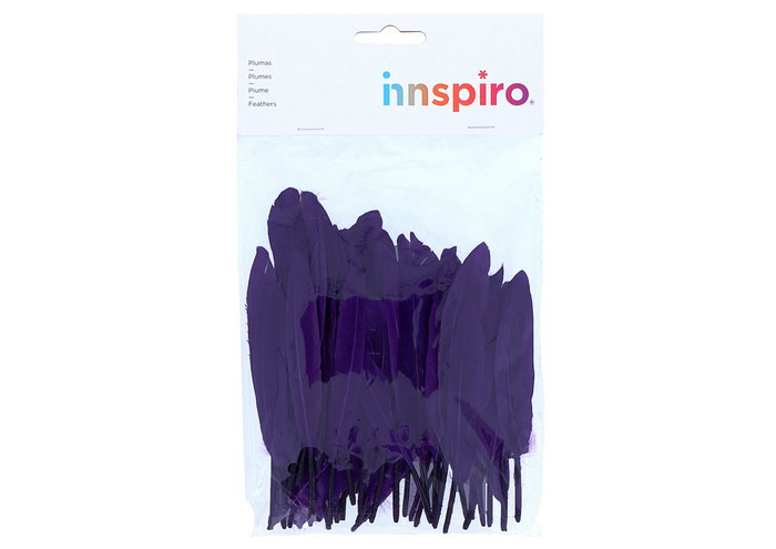 Innspiro Plumes indio lila 60 unités