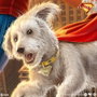 Sideshow Collectibles Superman (2025) DC Comics impression Art Print Superman: A Symbol of Hope 41 x 61 cm - non encadrée