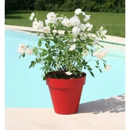RIVIERA Pot Soleilla - Pot de fleurs rond en polypropylène Ø 39.2 cm x 35.8 cm - 25L - Résistant au gel et aux UV - Rouge