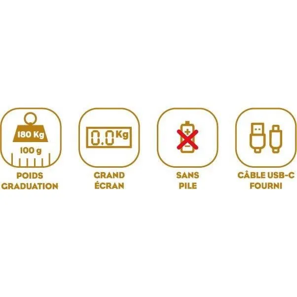 Little Balance Pese-personne 8729 - Motif Tortues Gold Métallisé - Batterie Rechargeable USB - Capacité 180 kg Précision 100 g - Rose - Dimensions 28x28 cm