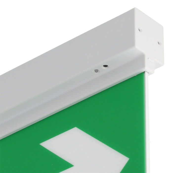 Éclairage de secours LED permanent 3 W avec panneau double face et auto-test Éclairage de secours LED permanent 3 W avec panneau double face et auto-test