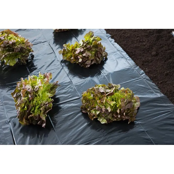 Nature - Film de couverture noir recyclé - 4 x 6 m - Épaisseur 100µ - Pour paillage et protection