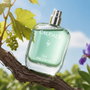 Caudalie Eau des Vignes Eau fraîche 50 ml