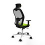 Piqueras y Crespo Chaise de Bureau 1D086N2 Pistache