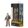 Hasbro Star Wars The Black Series Skeleton Crew Fern 15 cm