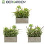 Ibergarden Jardin Artificiel Fleur Pot Rectangulaire Ciment Assortis 17x23x7cm Plastique et Liège (Set de 8)