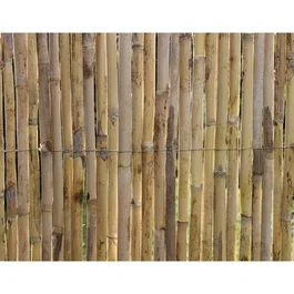 Nature Canisse - Roseaux fendus naturels premium 3 x 1 m, pour clôture ou pergola, occultation 3/5