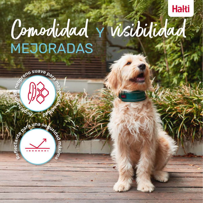 Collier pour Chien Company of Animals Turquoise