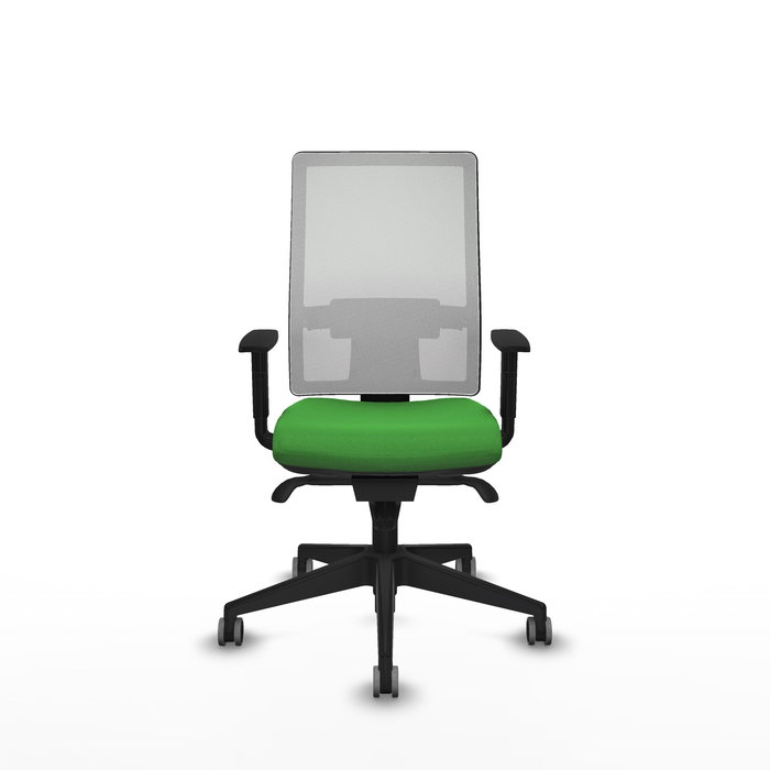 Chaise de Bureau Piqueras y Crespo 1D066G0 Vert