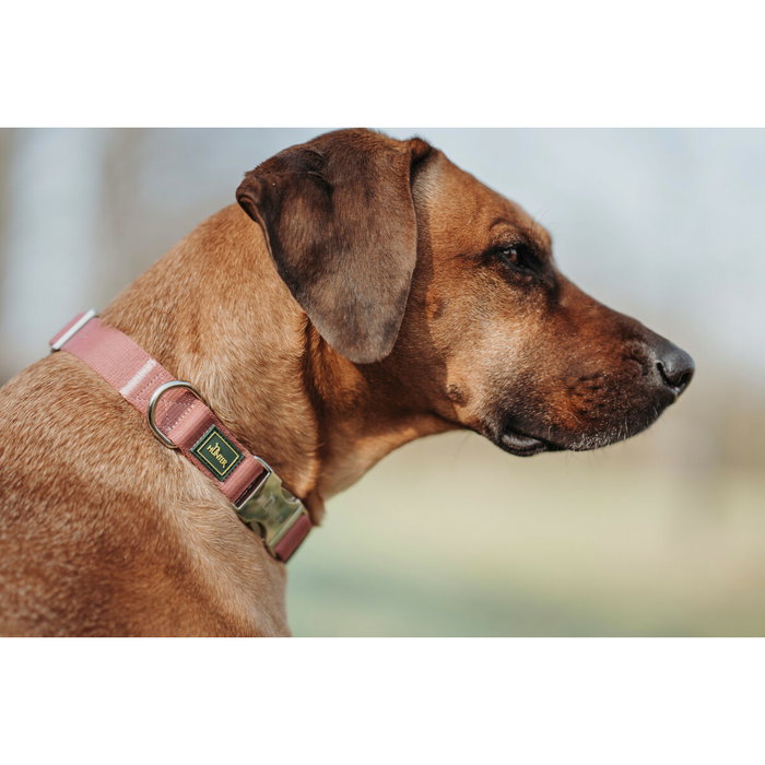Collier pour Chien Hunter Rouge 40-55 cm L Collier pour Chien Hunter Rouge 40-55 cm L