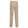 Pantalon de sport long Regatta Highton Z/O Beige Homme