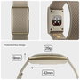 Polar Loop GEN2 S-L Greige Sand