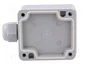BOPLA Boîtier de raccordement à presse-étoupe gris IP65