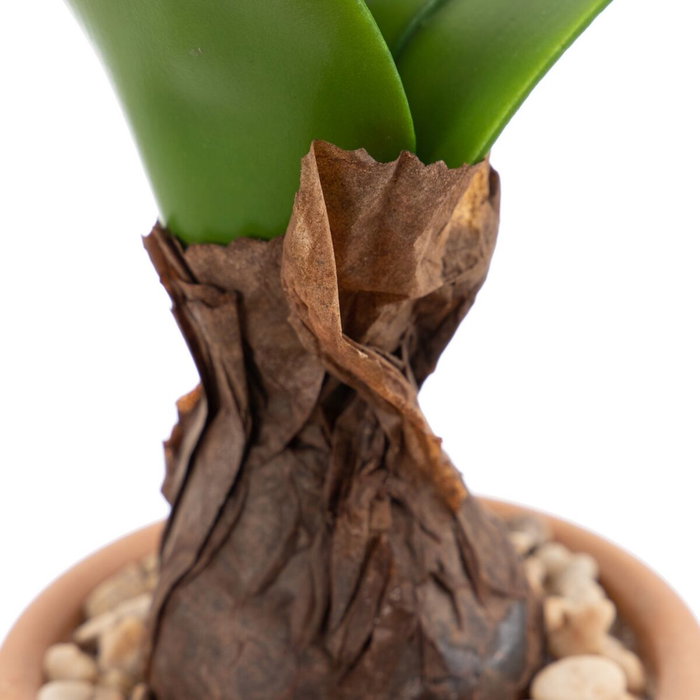 BigBuy Home Plante décorative Blanc, Vert, Terre cuite