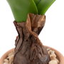 BigBuy Home Plante décorative Blanc, Vert, Terre cuite
