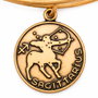Alex And Ani Bracelet Sagittaire Doré Ajustable