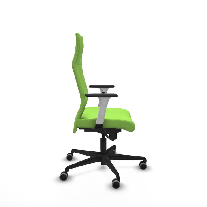 Piqueras Y Crespo Fauteuil de Bureau Albacete, Mécanisme Synchrone, Pistache Piqueras Y Crespo Fauteuil de Bureau Albacete, Mécanisme Synchrone, Pistache