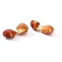 Maced Nourriture Adulte Poulet Canard 500 g