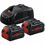 Bosch Professional Pack de 2x5.5Ah Procore 18V Batterie en Boîte Carton