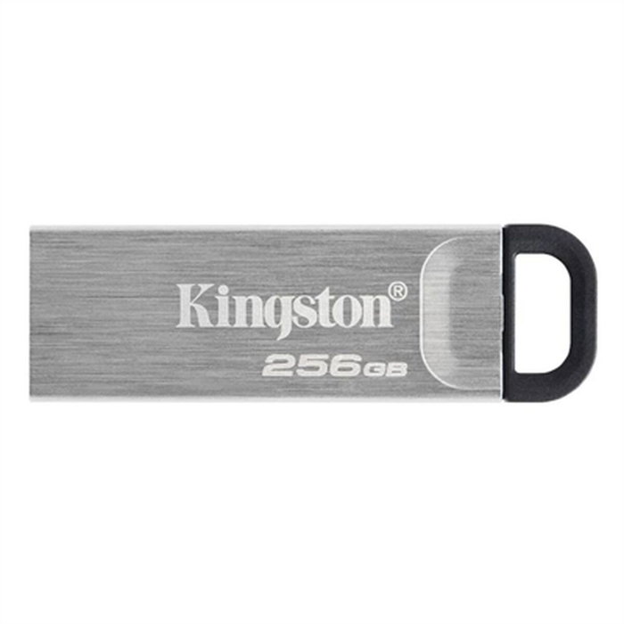 Clé USB Kingston DataTraveler Kyson Argenté 512 GB