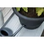 Elho Pot à tomate Green Basics 33 cm noir vif avec réserve d'eau et tuteur circulaire pour plant