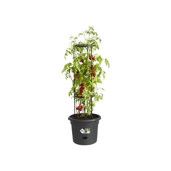 Elho Pot à tomate Green Basics 33 cm noir vif avec réserve d'eau et tuteur circulaire pour plant