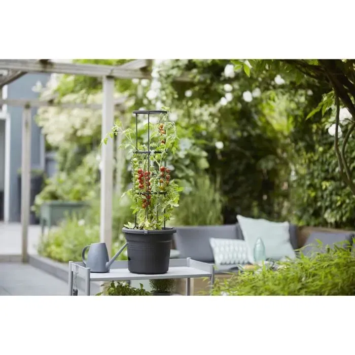 Elho Pot à tomate Green Basics 33 cm noir vif avec réserve d'eau et tuteur circulaire pour plant