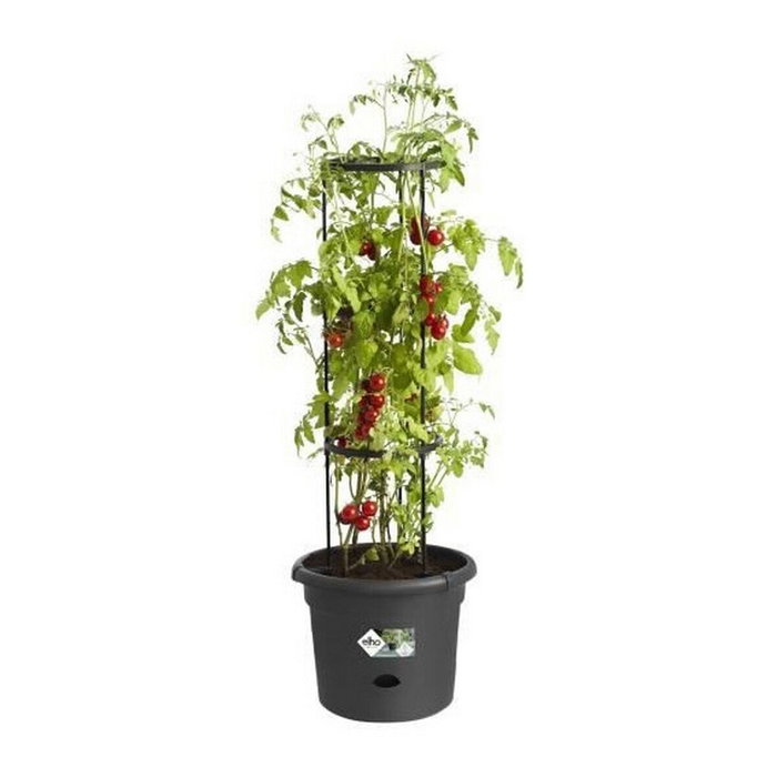 Elho Pot à tomate Green Basics - Ø 33 x 25 cm - Noir vif Elho Pot à tomate Green Basics - Ø 33 x 25 cm - Noir vif