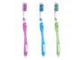 Berilo Étui à brosse à dents 19 x 1.5 x 3 cm PVC bleu violet vert rose dureté moyenne (Set de 72)