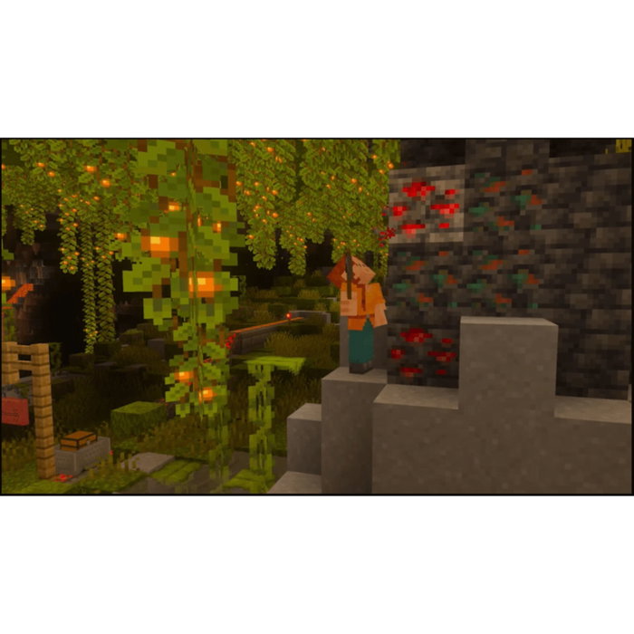 Nintendo Minecraft pour Nintendo Switch 2 Nintendo Minecraft pour Nintendo Switch 2