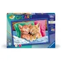 Ravensburger CreArt Kids Peinture par numéros Chatons endormis Tableau 31 x 21 cm Kit artistique à partir de 11 ans