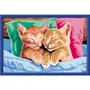 Ravensburger CreArt Kids Peinture par numéros Chatons endormis Tableau 31 x 21 cm Kit artistique à partir de 11 ans