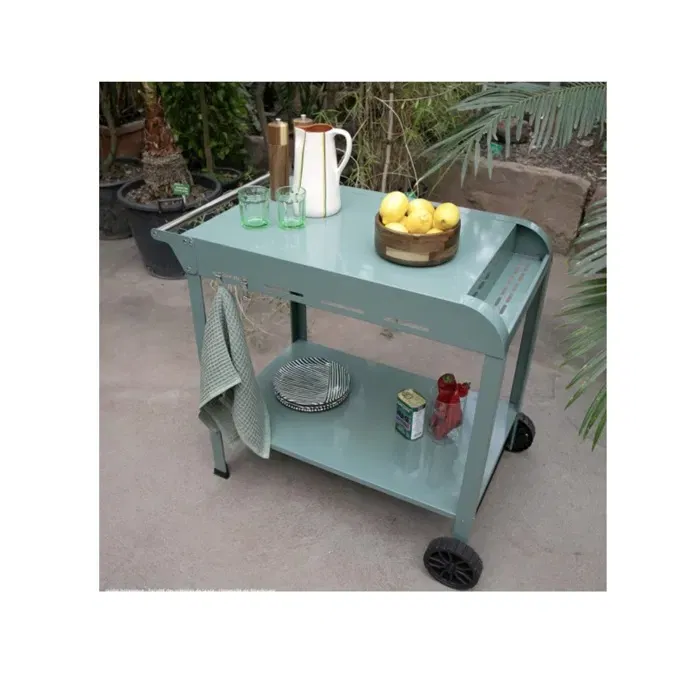 Livoo Desserte pour Plancha GS168V - Vert/Noir - Pour Planchas 2 ou 3 Brûleurs - Plateaux 70x50 cm et 79x49 cm - Structure en Acier Livoo Desserte pour Plancha GS168V - Vert/Noir - Pour Planchas 2 ou 3 Brûleurs - Plateaux 70x50 cm et 79x49 cm - Structure en Acier