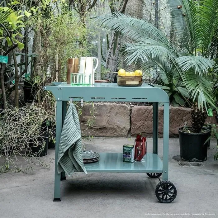 Livoo Desserte pour Plancha GS168V - Vert/Noir - Pour Planchas 2 ou 3 Brûleurs - Plateaux 70x50 cm et 79x49 cm - Structure en Acier Livoo Desserte pour Plancha GS168V - Vert/Noir - Pour Planchas 2 ou 3 Brûleurs - Plateaux 70x50 cm et 79x49 cm - Structure en Acier