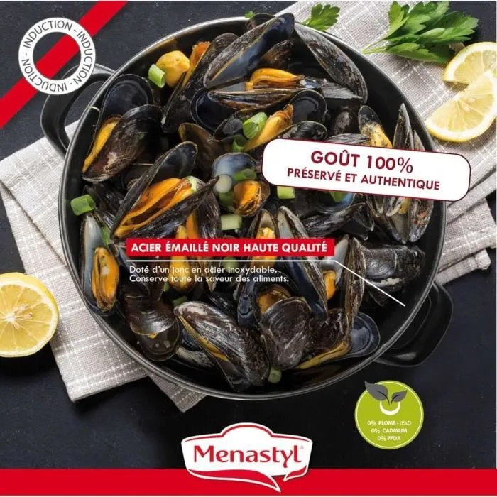 Menastyl Marmite à Moules 24 cm en Acier Émaillé Noir, Plat/Couvercle Réversible, Compatible Tous Feux Dont Induction, Réf. 3645564