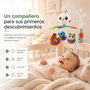 Hola Mobile Musical Pajaritos avec 10 Chansons et Lumières