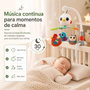 Hola Mobile Musical Pajaritos avec 10 Chansons et Lumières