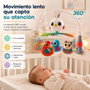 Hola Mobile Musical Pajaritos avec 10 Chansons et Lumières