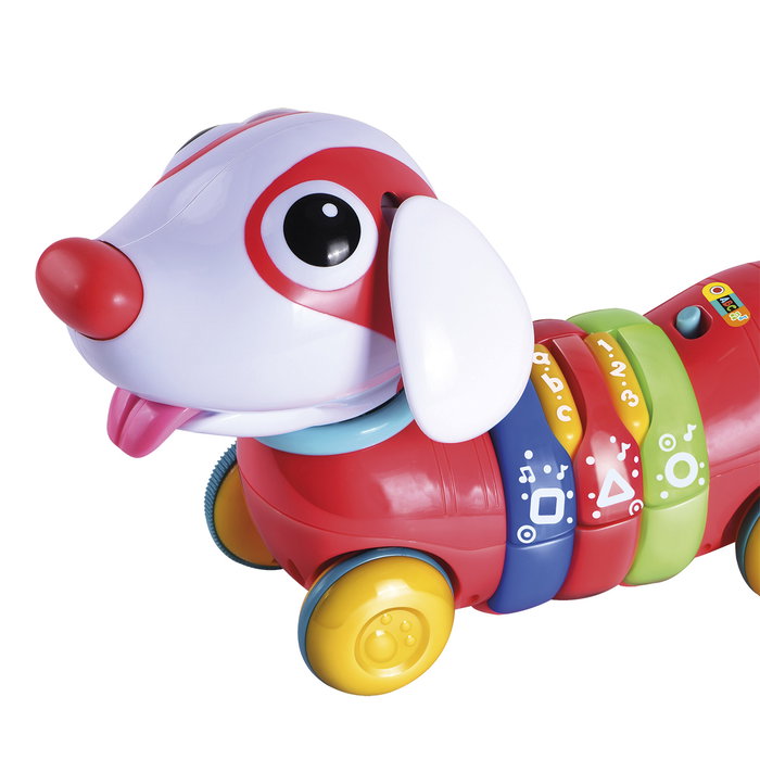 TACHAN - Jouet Chiot Arc-en-ciel avec Télécommande et Activités Éducatives (Lettres, Chiffres, Couleurs) - Fonctionne en 6 Langues