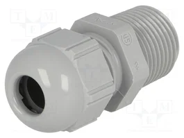 LAPP Presse-étoupe SKINTOP® ST NPT NPT3/4 gris