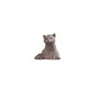Hasbro Marvel Legends Series Guardianes Figurine Groot adulte avec accessoires