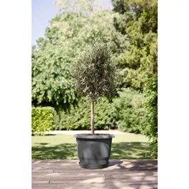 ELHO Amiga Rond 55 - Pot de fleur rond extérieur en matériaux recyclés - Noir - 55 L - Ø 55 x H 51 cm